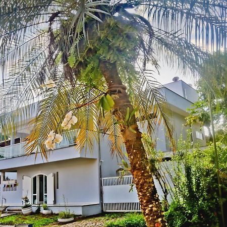 Bed and Breakfast Casa Mani Убатуба Екстер'єр фото
