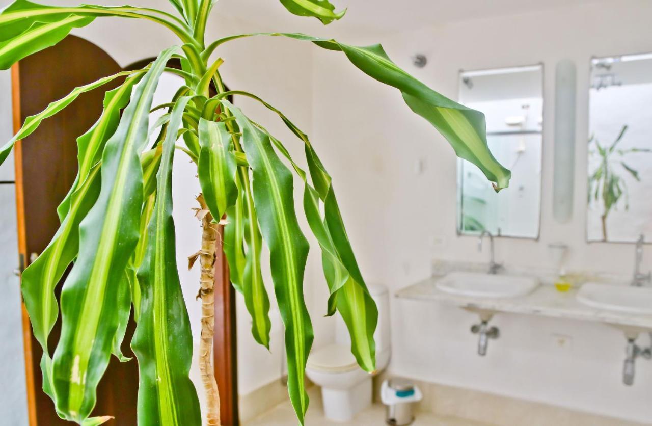 Bed and Breakfast Casa Mani Убатуба Екстер'єр фото